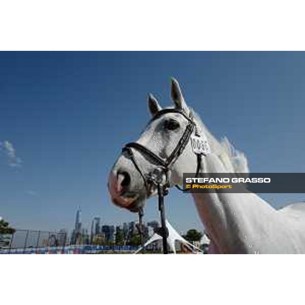 LGCT of NEW YORK - Vet inspection - Cornado NRW NEW YORK, Governors Island - 26 September 2019 - ph.Stefano Grasso/LGCT