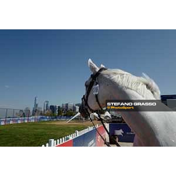 LGCT of NEW YORK - Vet inspection - Cornado NRW NEW YORK, Governors Island - 26 September 2019 - ph.Stefano Grasso/LGCT