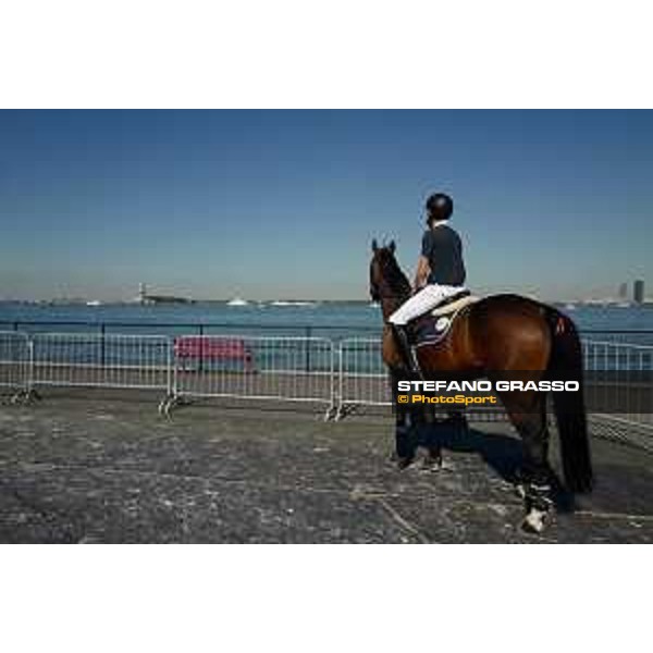 LGCT of NEW YORK - Scott Brash on Hello Mr President- The Statue of Liberty NRW NEW YORK, Governors Island - 27 September 2019 - ph.Stefano Grasso/LGCT