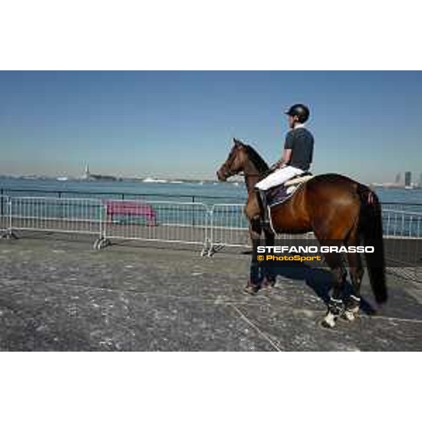 LGCT of NEW YORK - Scott Brash on Hello Mr President- The Statue of Liberty NRW NEW YORK, Governors Island - 27 September 2019 - ph.Stefano Grasso/LGCT