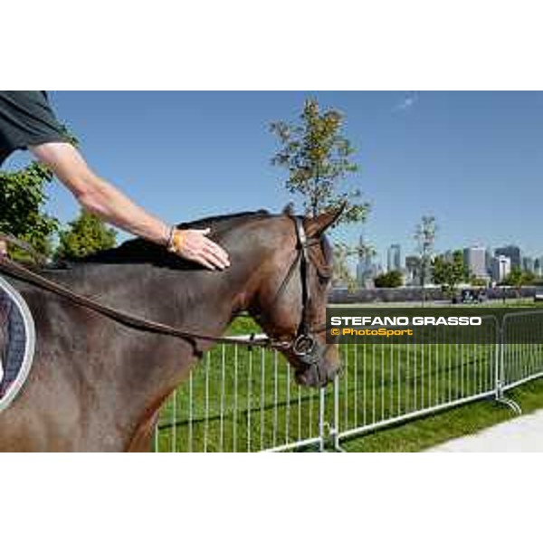 LGCT of NEW YORK - Scott Brash on Hello Mr President- The Statue of Liberty NRW NEW YORK, Governors Island - 27 September 2019 - ph.Stefano Grasso/LGCT