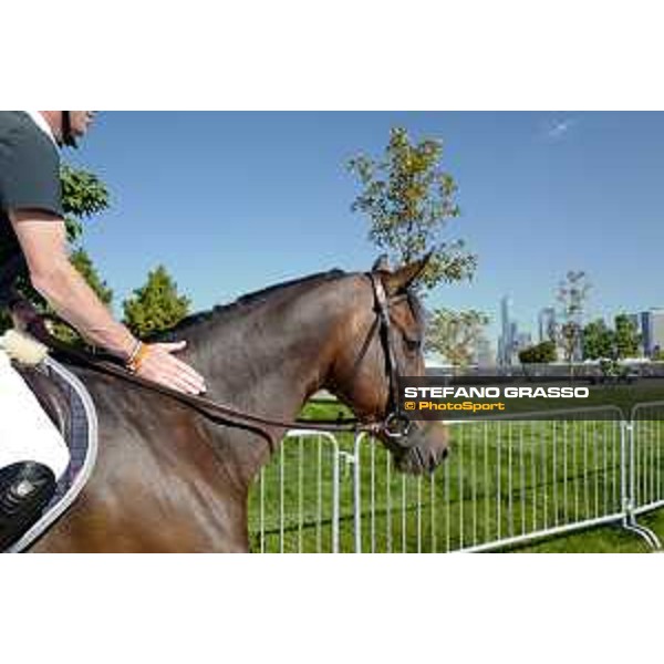 LGCT of NEW YORK - Scott Brash on Hello Mr President- The Statue of Liberty NRW NEW YORK, Governors Island - 27 September 2019 - ph.Stefano Grasso/LGCT