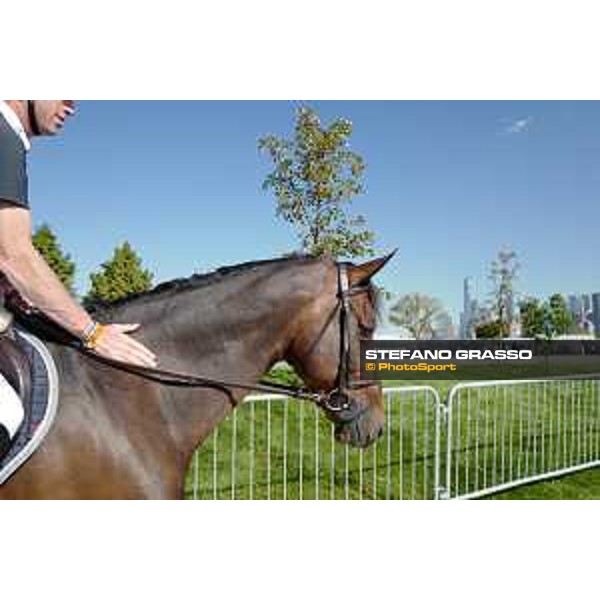 LGCT of NEW YORK - Scott Brash on Hello Mr President- The Statue of Liberty NRW NEW YORK, Governors Island - 27 September 2019 - ph.Stefano Grasso/LGCT