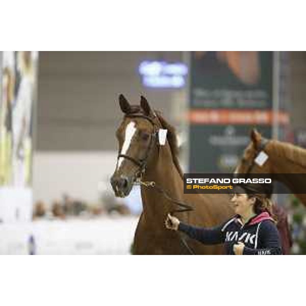 Horses inspection Jumping Verona 2019 Verona,7th nov. 2019 ph.Stefano Grasso/JV
