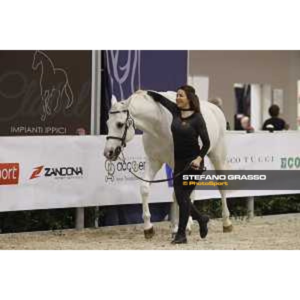Horses inspection Jumping Verona 2019 Verona,7th nov. 2019 ph.Stefano Grasso/JV