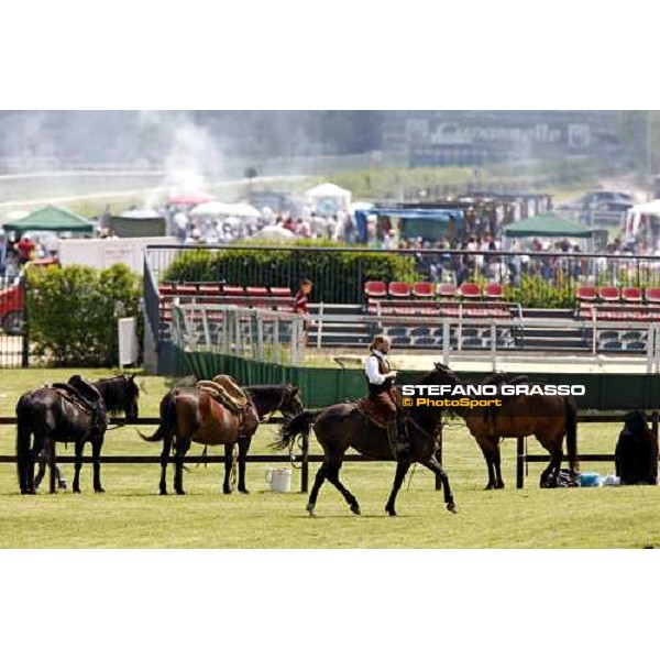 The Maremmani horses at Capannelle racetrack Rome, 1st may 2009 ph. Stefano Grasso