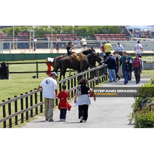 The Maremmani horses at Capannelle racetrack Rome, 1st may 2009 ph. Stefano Grasso