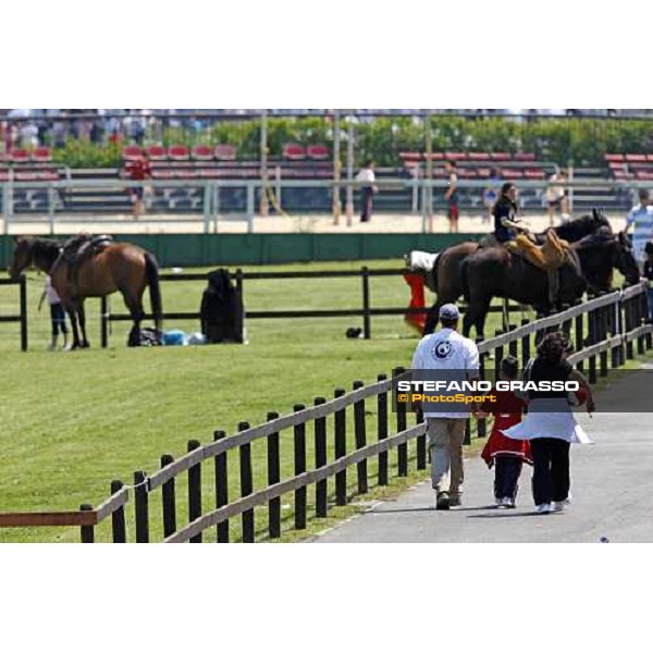 The Maremmani horses at Capannelle racetrack Rome, 1st may 2009 ph. Stefano Grasso