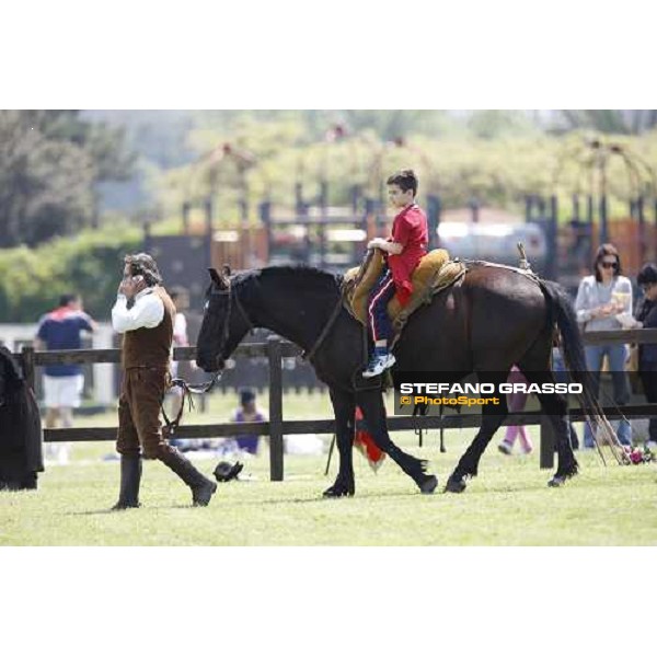 The Maremmani horses at Capannelle racetrack Rome, 1st may 2009 ph. Stefano Grasso