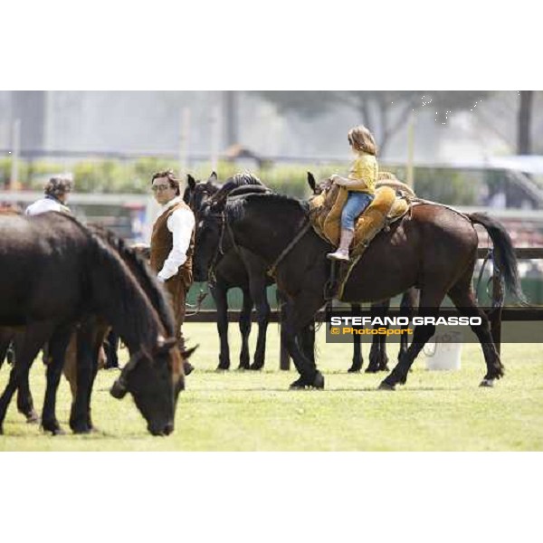 The Maremmani horses at Capannelle racetrack Rome, 1st may 2009 ph. Stefano Grasso