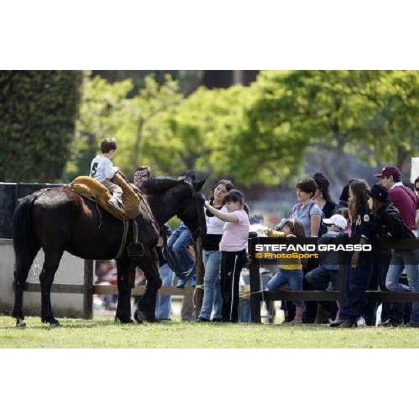 The Maremmani horses at Capannelle racetrack Rome, 1st may 2009 ph. Stefano Grasso