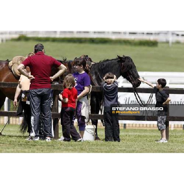 The Maremmani horses at Capannelle racetrack Rome, 1st may 2009 ph. Stefano Grasso