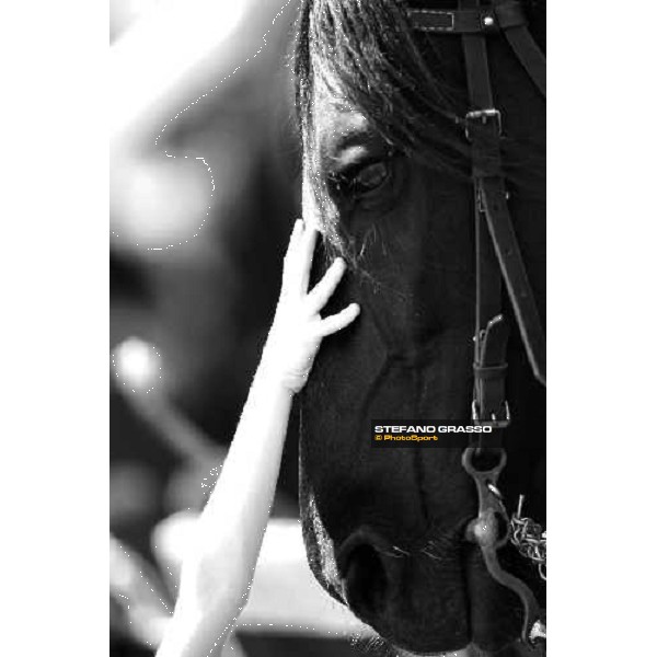 The Maremmani horses at Capannelle racetrack Rome, 1st may 2009 ph. Stefano Grasso