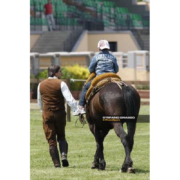 The Maremmani horses at Capannelle racetrack Rome, 1st may 2009 ph. Stefano Grasso