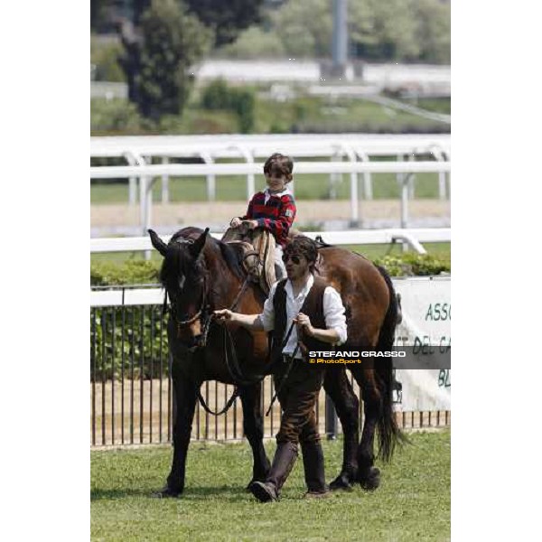 The Maremmani horses at Capannelle racetrack Rome, 1st may 2009 ph. Stefano Grasso