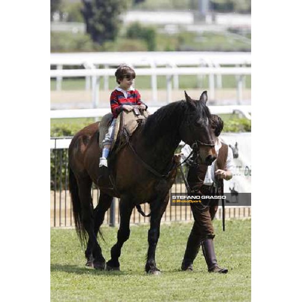 The Maremmani horses at Capannelle racetrack Rome, 1st may 2009 ph. Stefano Grasso