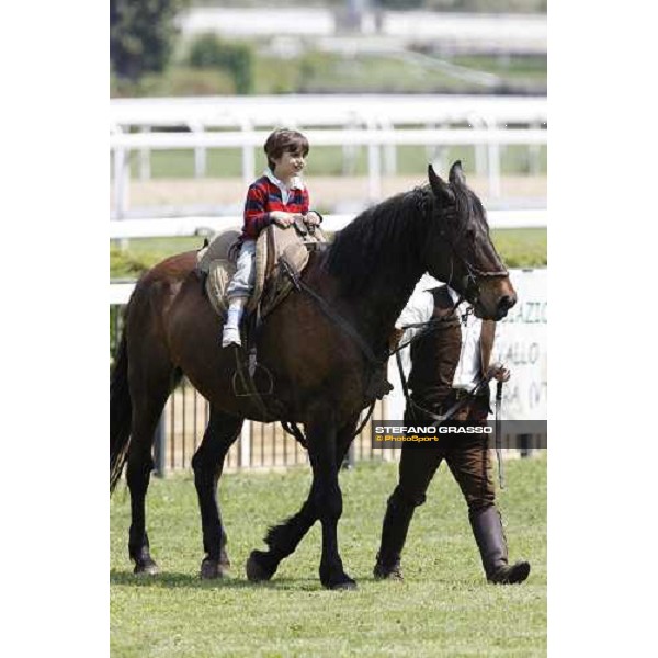The Maremmani horses at Capannelle racetrack Rome, 1st may 2009 ph. Stefano Grasso