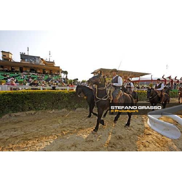 The Maremmani horses parading at Capannelle racetrack Rome, 1st may 2009 ph. Stefano Grasso