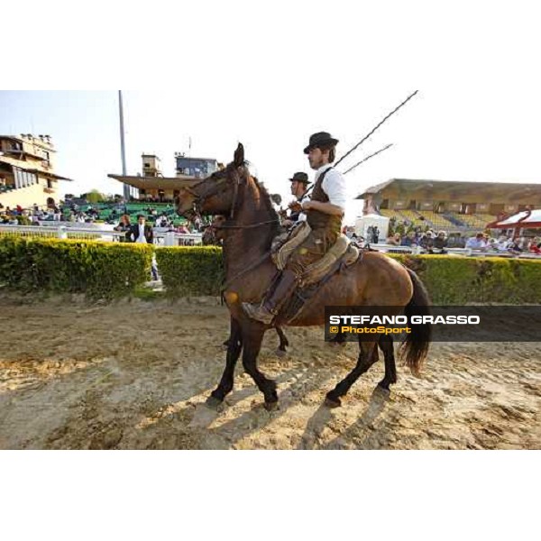 The Maremmani horses parading at Capannelle racetrack Rome, 1st may 2009 ph. Stefano Grasso