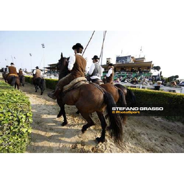 The Maremmani horses parading at Capannelle racetrack Rome, 1st may 2009 ph. Stefano Grasso