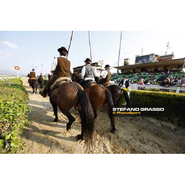 The Maremmani horses parading at Capannelle racetrack Rome, 1st may 2009 ph. Stefano Grasso