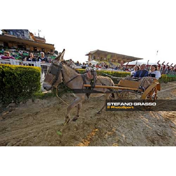 the donkey \'Bin Laden \' parading at Capannelle racetrack Rome, 1st may 2009 ph. Stefano Grasso