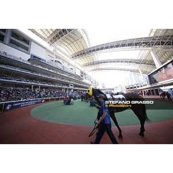 LHKIR 2019 - Parade ring - Hong Kong, Sha Tin Racecourse - 8 December 2019 - ph.Stefano Grasso/Longines