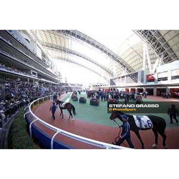 LHKIR 2019 - Parade ring - Hong Kong, Sha Tin Racecourse - 8 December 2019 - ph.Stefano Grasso/Longines