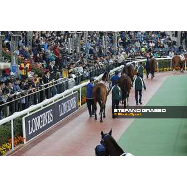 LHKIR 2019 - Parade ring - racegoers - Hong Kong, Sha Tin Racecourse - 8 December 2019 - ph.Stefano Grasso/Longines