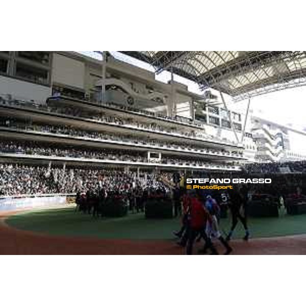 LHKIR 2019 - Longines Hong Kong Cup - The parade ring Hong Kong, Sha Tin Racecourse - 8 December 2019 - ph.Stefano Grasso/Longines