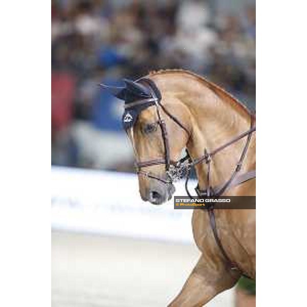 LGCT of Cannes - Grand Prix - Ben Maher (GBR) on Explosion W - Cannes, Stade des Hesperydes - 8 June 2019 - ph.Stefano Grasso/LGCT