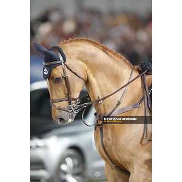 LGCT of Cannes - Grand Prix - Ben Maher (GBR) on Explosion W - Cannes, Stade des Hesperydes - 8 June 2019 - ph.Stefano Grasso/LGCT