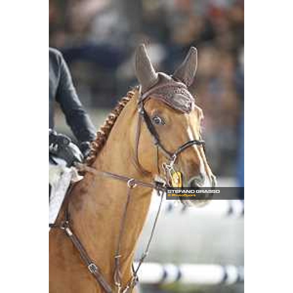 LGCT of Cannes - Grand Prix - Shane Breen (IRL) on Ipswich van de Wolfsakker - Cannes, Stade des Hesperydes - 9 June 2019 - ph.Stefano Grasso/LGCT