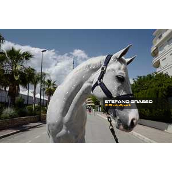 LGCT of Cannes - Behind the scenes - Cannes, Stade des Hesperydes - 6 June 2019 - ph.Stefano Grasso/LGCT