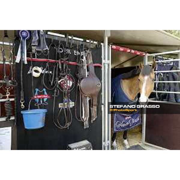 LGCT of Madrid - Behind the scenes - - Madrid, - 18 May 2019 - ph.Stefano Grasso/LGCT