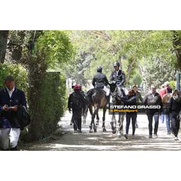 LGCT of Madrid - Behind the scenes - - Madrid, - 17 May 2019 - ph.Stefano Grasso/LGCT