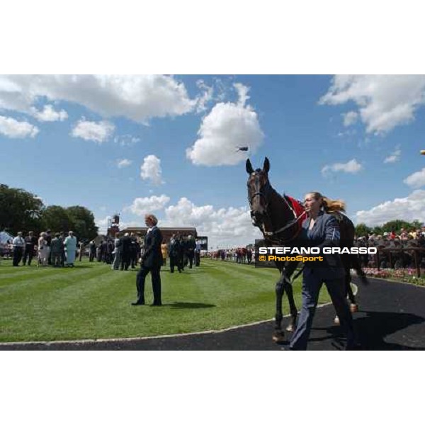 Attraction in teh parade ring of The Falmouth Stakes Newmarket, 6th june 2004 ph. Stefano Grasso