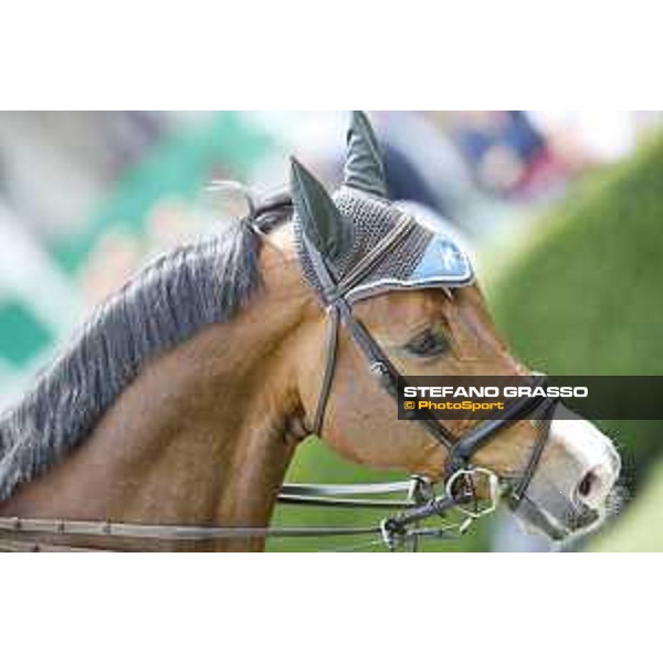 LGCT of Madrid - Ludger Beerbaum (GER) - Madrid, - 18 May 2019 - ph.Stefano Grasso/LGCT