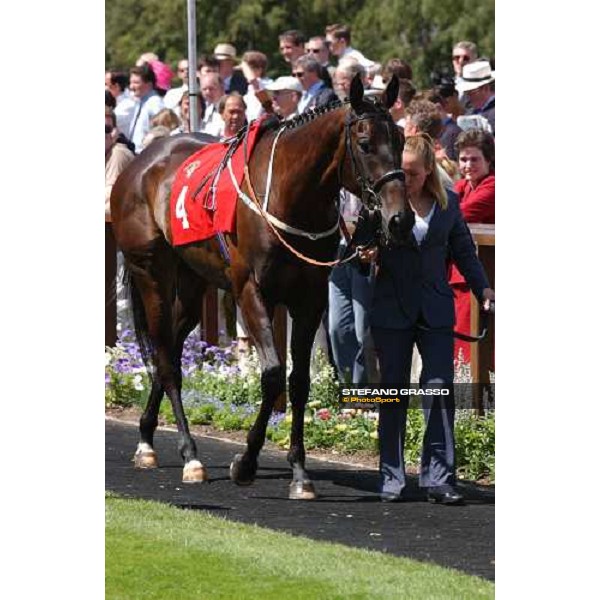 Attraction The Falmouth Stakes Newmarket, 6th june 2004 ph. Stefano Grasso