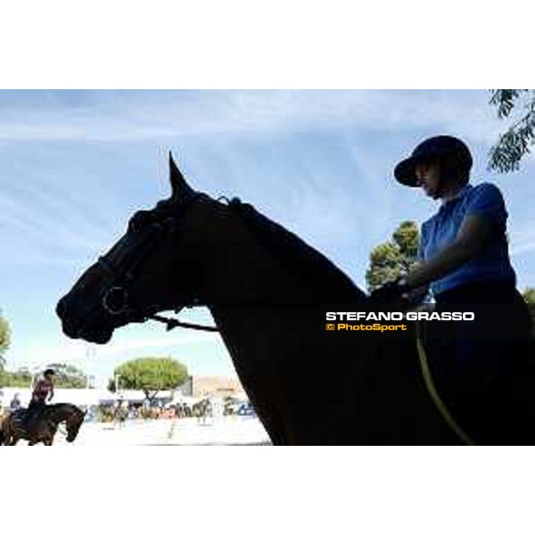 LGCT of Cascais - Behind the scenes - - Cascais, Hipodromo Manuel Possolo - 19 June 2019 - ph.Stefano Grasso/LGCT