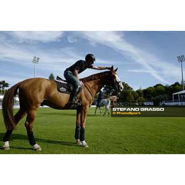 LGCT of Cascais - Behind the scenes - Marcus Ehning (GER) - Cascais, Hipodromo Manuel Possolo - 19 June 2019 - ph.Stefano Grasso/LGCT