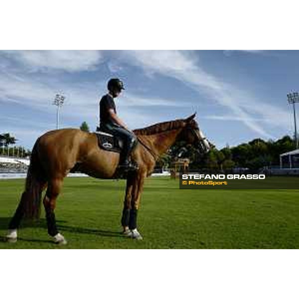 LGCT of Cascais - Behind the scenes - Marcus Ehning (GER) - Cascais, Hipodromo Manuel Possolo - 19 June 2019 - ph.Stefano Grasso/LGCT