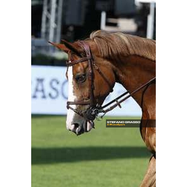 LGCT of Cascais - Behind the scenes - Pieter Devos (BEL) - Cascais, Hipodromo Manuel Possolo - 19 June 2019 - ph.Stefano Grasso/LGCT
