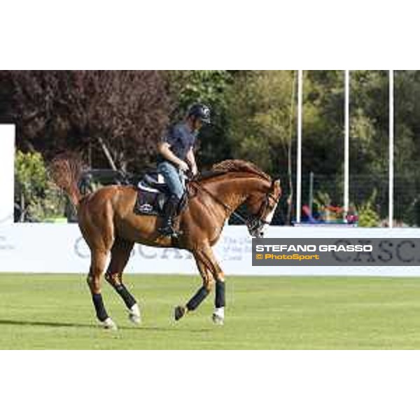 LGCT of Cascais - Behind the scenes - Marcus Ehning (GER) - Cascais, Hipodromo Manuel Possolo - 19 June 2019 - ph.Stefano Grasso/LGCT