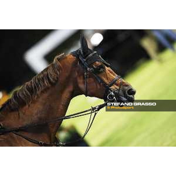 LGCT of Cascais - Grand Prix - Eric Van Der Vleuten (NED) on Wunschkind 19 - Cascais, Hipodromo Manuel Possolo - 22 June 2019 - ph.Stefano Grasso/LGCT