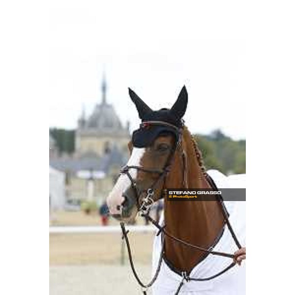 LGCT of Chantilly - Prize giving ceremony - Pieter Devos (BEL) - Chantilly, Grand Ecurie - 14 July 2019 - ph.Stefano Grasso/LGCT