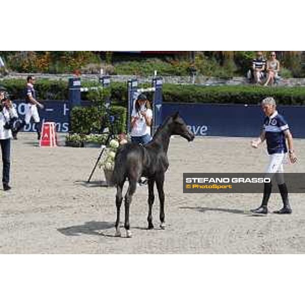 LGCT of Berlin - Various - Foal Auction - Berlin, Sommergarten - 27 July 2019 - ph.Stefano Grasso/LGCT