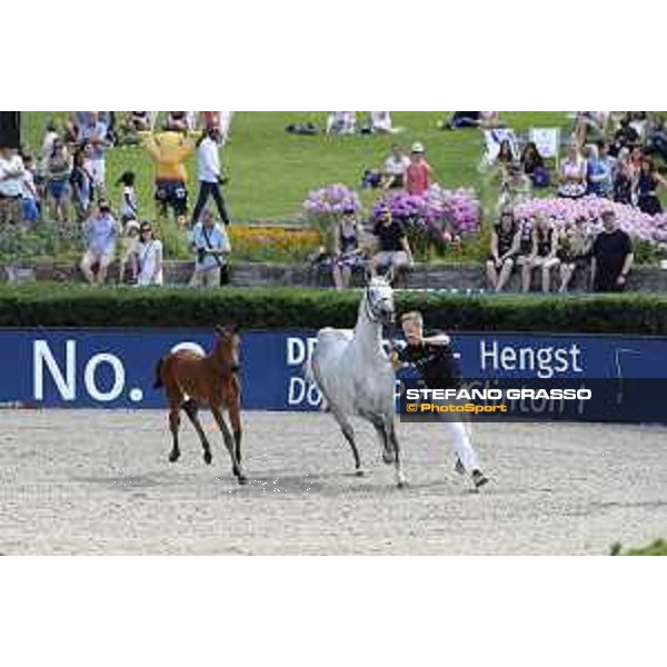 LGCT of Berlin - Various - Foal Auction - Berlin, Sommergarten - 27 July 2019 - ph.Stefano Grasso/LGCT
