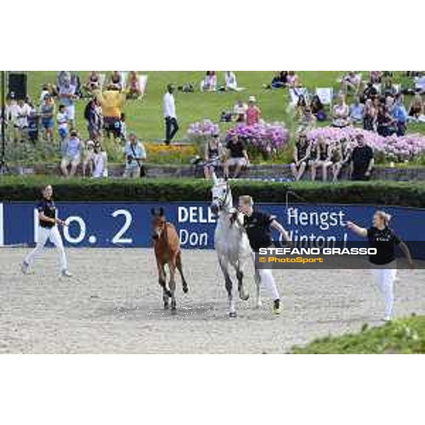 LGCT of Berlin - Various - Foal Auction - Berlin, Sommergarten - 27 July 2019 - ph.Stefano Grasso/LGCT