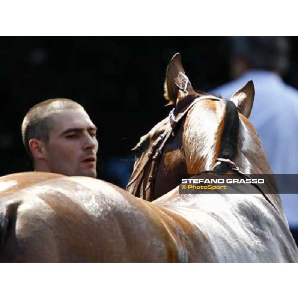 Orpen Shadow comes back to the stable with his groom after winning the Premio Primi Passi Milano, 20th june 2009 ph. Stefano Grasso